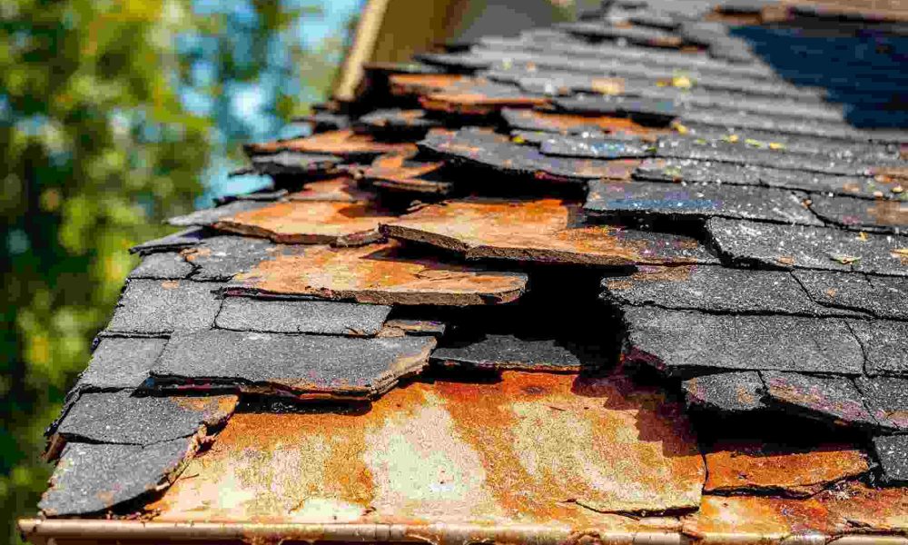 Signs Your Roof Needs Immediate Attention